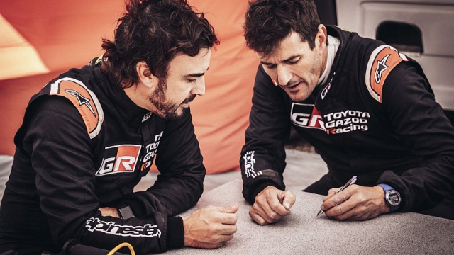 Alonso and Coma