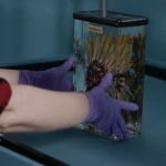 British Library Exhibition Edit