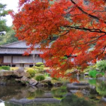sengan-en in bloom