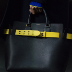 TheBeltBag-BurberryFebruary2018Show002.jpg