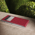 VERTU_Aster_Garden_RASPShot11_v3